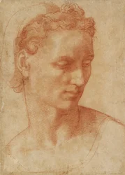 Testa di una donna, inizio XVI secolo