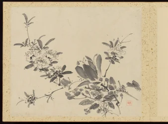 "Eleganza raffinata nelle quattro stagioni" (Shiji seiga), Album di dipinti floreali