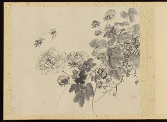 "Eleganza raffinata nelle quattro stagioni" (Shiji seiga), Album di dipinti floreali