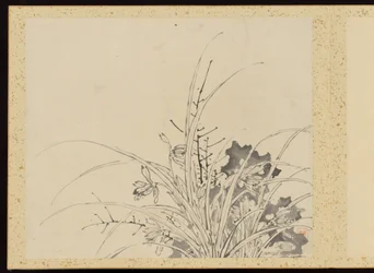 "Eleganza raffinata nelle quattro stagioni" (Shiji seiga), Album di dipinti floreali