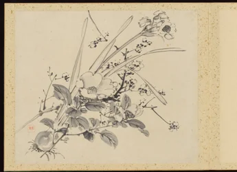 "Eleganza raffinata nelle quattro stagioni" (Shiji seiga), Album di dipinti floreali