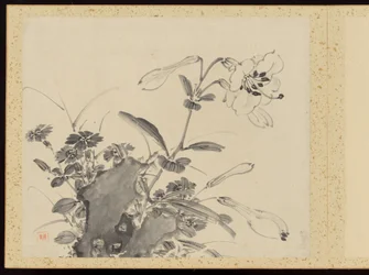 "Eleganza raffinata nelle quattro stagioni" (Shiji seiga), Album di dipinti floreali