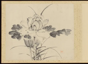"Eleganza raffinata nelle quattro stagioni" (Shiji seiga), Album di dipinti floreali