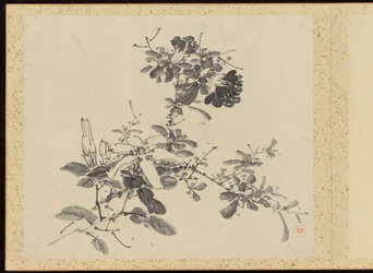 "Eleganza raffinata nelle quattro stagioni" (Shiji seiga), Album di dipinti floreali