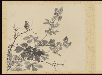 "Eleganza raffinata nelle quattro stagioni" (Shiji seiga), Album di dipinti floreali