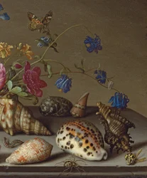 Fiori, conchiglie e insetti su un ripiano di pietra
