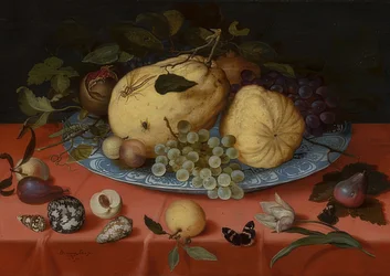 Natura morta con frutti, conchiglie e tulipano