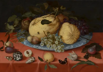 Natura morta di frutta con conchiglie e tulipani