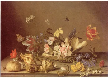 Natura morta di fiori e conchiglie