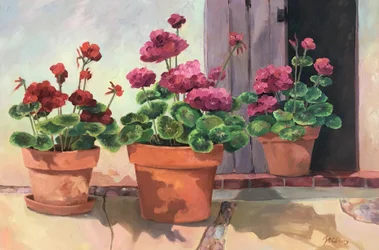 Geranio Serie 2, 1990-2005 circa (olio su tela)