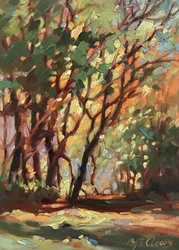 Viale delle ombre, ca. 1990-2000