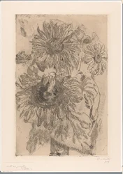 Tre girasoli in un vaso