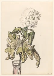 Crisantemo in fiore in un vasetto