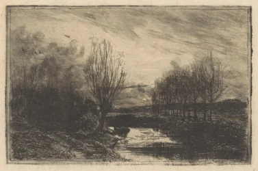 Fossato con salici