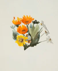 Fiori arancioni