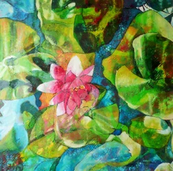 Stagno delle ninfee rosa