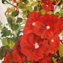 Fiori di un rosso vivace