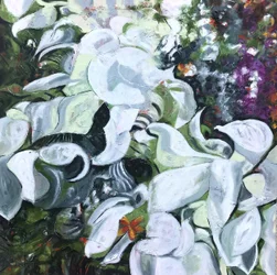 Farfalla bianca a fiori