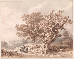 Una vecchia quercia presso uno specchio d