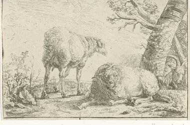 Due pecore e una capra