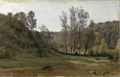Ruscello nel prato