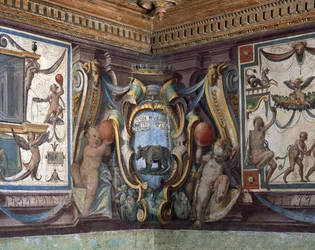 Sala del Granduca di Toscana, dettaglio del fregio raffigurante i segni dello zodiaco, il rinoceronte (dettaglio)