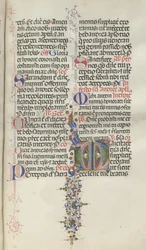 Missale: Fol. 260: Foliage con frutta