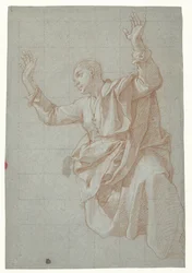Studio di un giovane
