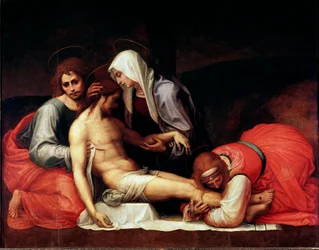 Deposizione (dettaglio)