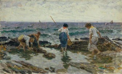 Alla ricerca di frutti di mare