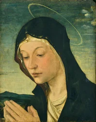 Testa e mani di una Madonna adorante (frammento), 1477-78 circa (tempera su legno di pioppo)