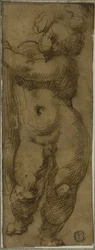 Putto in piedi visto di fronte: studio per la Vergine in gloria con i santi Petronio, Domenico e Pietro Martire