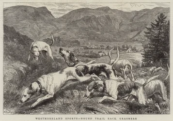 Sport in Westmoreland, gara di cani da caccia, Grasmere