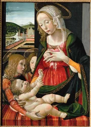Madonna che allatta Gesù bambino, circondata da angeli... (dipinto su tavola)