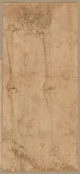 Metà inferiore dello scheletro dal fronte, primi anni 1540