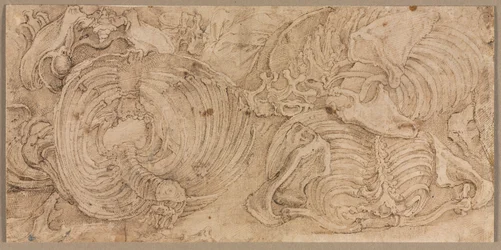 Gabbie toraciche, primi anni 1540