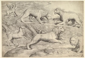 Sei animali, tra cui leoni, una tigre, un leopardo, un grifone e una capra, ca. 1530-61