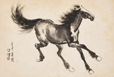 Cavallo al galoppo