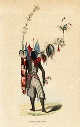 Guerriero dell