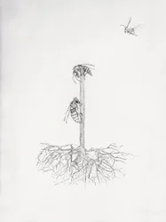 Albero di Vespe