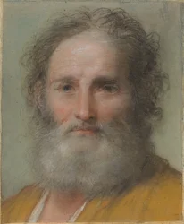 Testa di un Uomo Barbuto