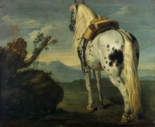 Un cavallo Selle Français in un paesaggio