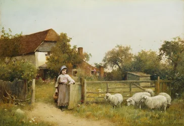 Giovane ragazza con pecore, vicino a un cottage