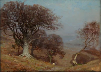 Faggi sui Quantocks, 1885-1924