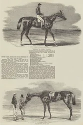 Corse di Epsom, ritratti dei vincitori del Derby e delle Oaks