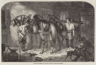 Preparazione dei cavalli per il tempo gelido