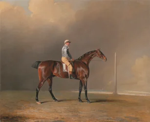 Diamond, con Dennis Fitzpatrick in sella