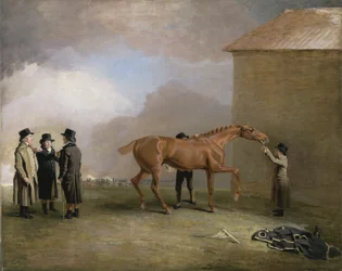 Muly Moloch, un puledro castano che viene strofinato a Newmarket Heath, con ritratti di Trotter, Hardy e Thompson a sinistra