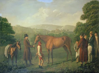 Immagine sconosciuta