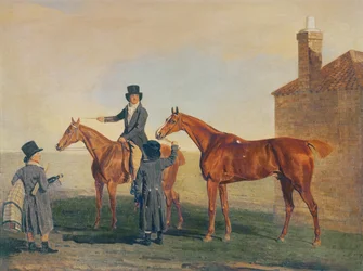 Zigolo giallo, c.1800